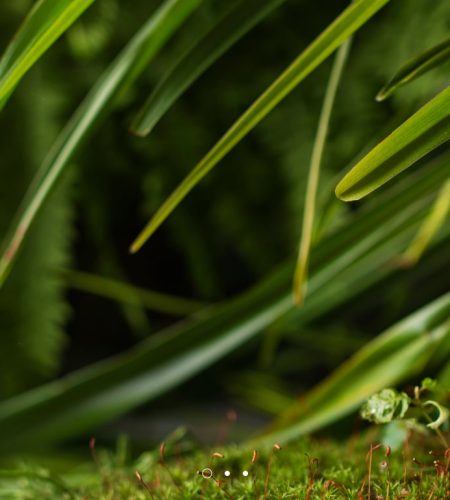 hero-slider-white-16